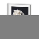 Tres rosas blancas en fondo negro - Nacifilm | Cuadro decorativo de Canvas Lab