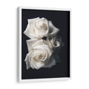 Tres rosas blancas en fondo negro - Nacifilm | Cuadro decorativo de Canvas Lab