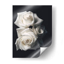 Tres rosas blancas en fondo negro - Nacifilm | Cuadro decorativo de Canvas Lab