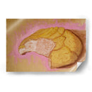 Concha - El escandaloso | Cuadro decorativo de Canvas Lab