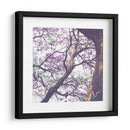 Árbol de jacaranda - mem | Cuadro decorativo de Canvas Lab