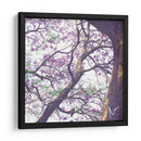Árbol de jacaranda - mem | Cuadro decorativo de Canvas Lab