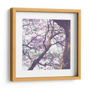 Árbol de jacaranda - mem | Cuadro decorativo de Canvas Lab