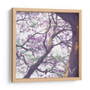 Árbol de jacaranda - mem | Cuadro decorativo de Canvas Lab