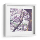 Árbol de jacaranda - mem | Cuadro decorativo de Canvas Lab