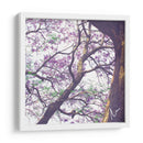 Árbol de jacaranda - mem | Cuadro decorativo de Canvas Lab