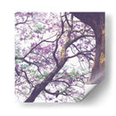 Árbol de jacaranda - mem | Cuadro decorativo de Canvas Lab