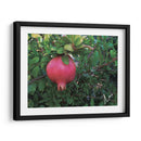 Granada en Badajoz, Extremadura, España 2019 - mem | Cuadro decorativo de Canvas Lab