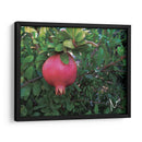 Granada en Badajoz, Extremadura, España 2019 - mem | Cuadro decorativo de Canvas Lab