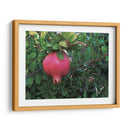 Granada en Badajoz, Extremadura, España 2019 - mem | Cuadro decorativo de Canvas Lab