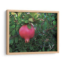 Granada en Badajoz, Extremadura, España 2019 - mem | Cuadro decorativo de Canvas Lab