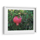 Granada en Badajoz, Extremadura, España 2019 - mem | Cuadro decorativo de Canvas Lab