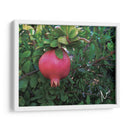 Granada en Badajoz, Extremadura, España 2019 - mem | Cuadro decorativo de Canvas Lab