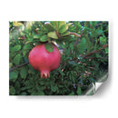 Granada en Badajoz, Extremadura, España 2019 - mem | Cuadro decorativo de Canvas Lab