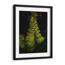 Helecho en jardín - Nacifilm | Cuadro decorativo de Canvas Lab