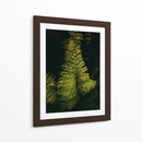 Helecho en jardín - Nacifilm | Cuadro decorativo de Canvas Lab