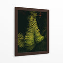 Helecho en jardín - Nacifilm | Cuadro decorativo de Canvas Lab
