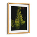 Helecho en jardín - Nacifilm | Cuadro decorativo de Canvas Lab