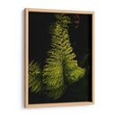 Helecho en jardín - Nacifilm | Cuadro decorativo de Canvas Lab