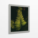 Helecho en jardín - Nacifilm | Cuadro decorativo de Canvas Lab