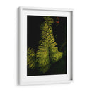 Helecho en jardín - Nacifilm | Cuadro decorativo de Canvas Lab