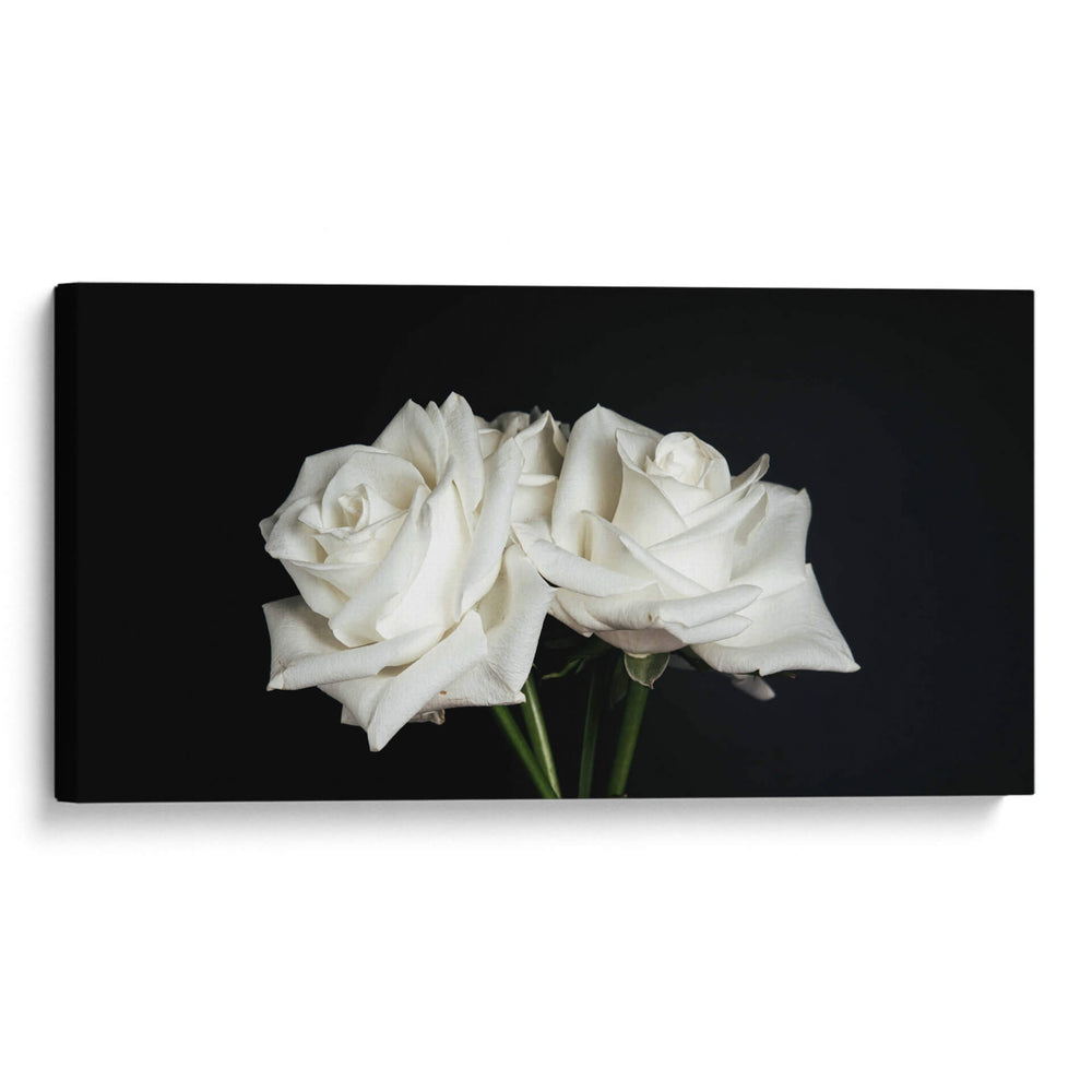 Dos rosas en fondo negro frontal - Nacifilm | Cuadro decorativo de Canvas Lab