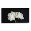 Dos rosas en fondo negro frontal - Nacifilm | Cuadro decorativo de Canvas Lab