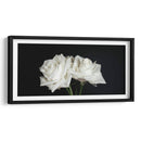 Dos rosas en fondo negro frontal - Nacifilm | Cuadro decorativo de Canvas Lab