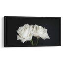 Dos rosas en fondo negro frontal - Nacifilm | Cuadro decorativo de Canvas Lab