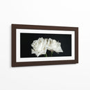 Dos rosas en fondo negro frontal - Nacifilm | Cuadro decorativo de Canvas Lab