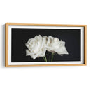 Dos rosas en fondo negro frontal - Nacifilm | Cuadro decorativo de Canvas Lab
