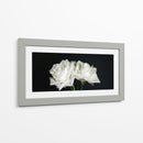 Dos rosas en fondo negro frontal - Nacifilm | Cuadro decorativo de Canvas Lab