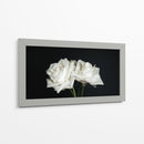 Dos rosas en fondo negro frontal - Nacifilm | Cuadro decorativo de Canvas Lab