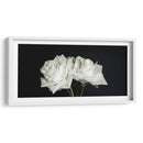 Dos rosas en fondo negro frontal - Nacifilm | Cuadro decorativo de Canvas Lab
