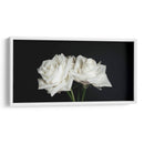 Dos rosas en fondo negro frontal - Nacifilm | Cuadro decorativo de Canvas Lab