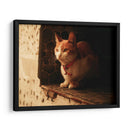 Gato con cascabel - Nacifilm | Cuadro decorativo de Canvas Lab