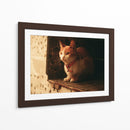 Gato con cascabel - Nacifilm | Cuadro decorativo de Canvas Lab