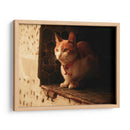 Gato con cascabel - Nacifilm | Cuadro decorativo de Canvas Lab