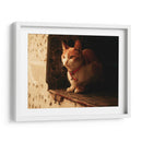 Gato con cascabel - Nacifilm | Cuadro decorativo de Canvas Lab
