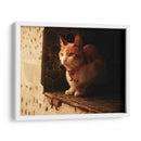 Gato con cascabel - Nacifilm | Cuadro decorativo de Canvas Lab