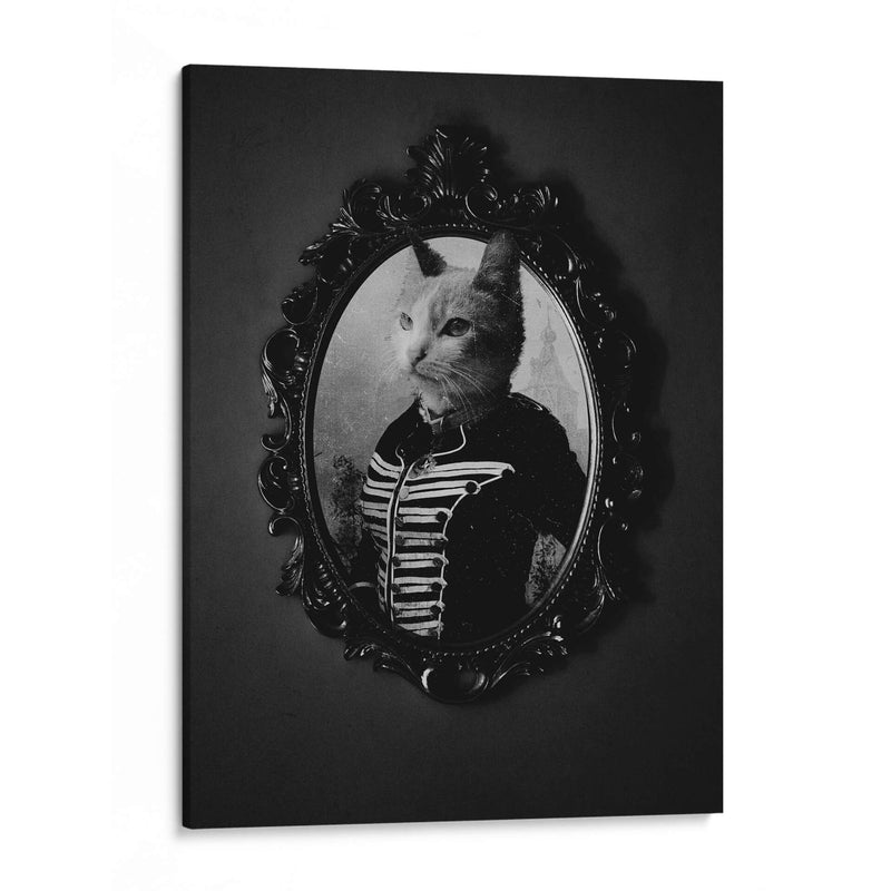 Gato en espejo gótico - Nacifilm | Cuadro decorativo de Canvas Lab