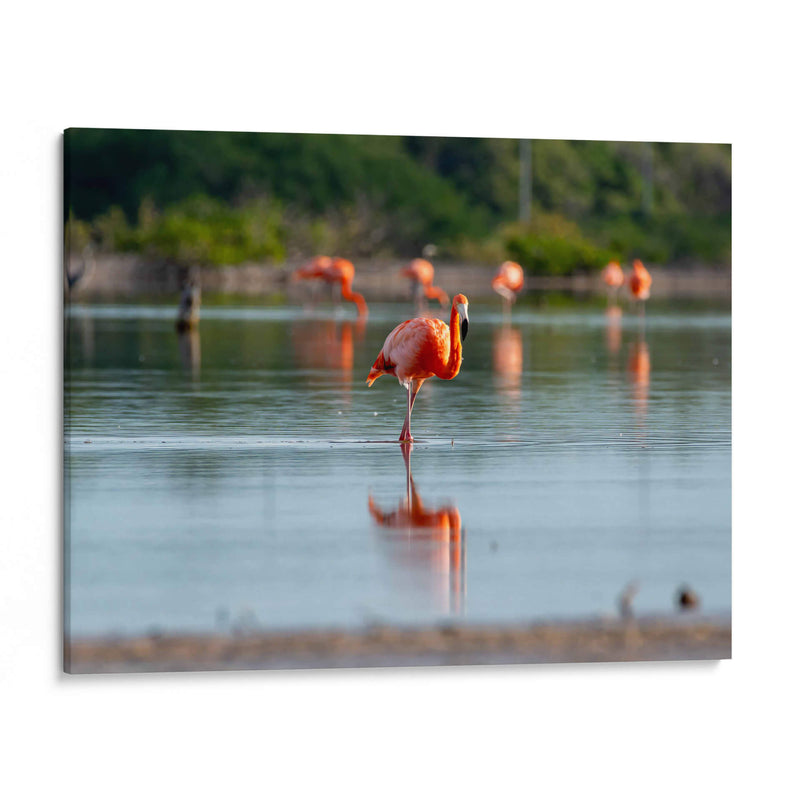 Flamenco - Claudia Luna | Cuadro decorativo de Canvas Lab