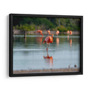 Flamenco - Claudia Luna | Cuadro decorativo de Canvas Lab