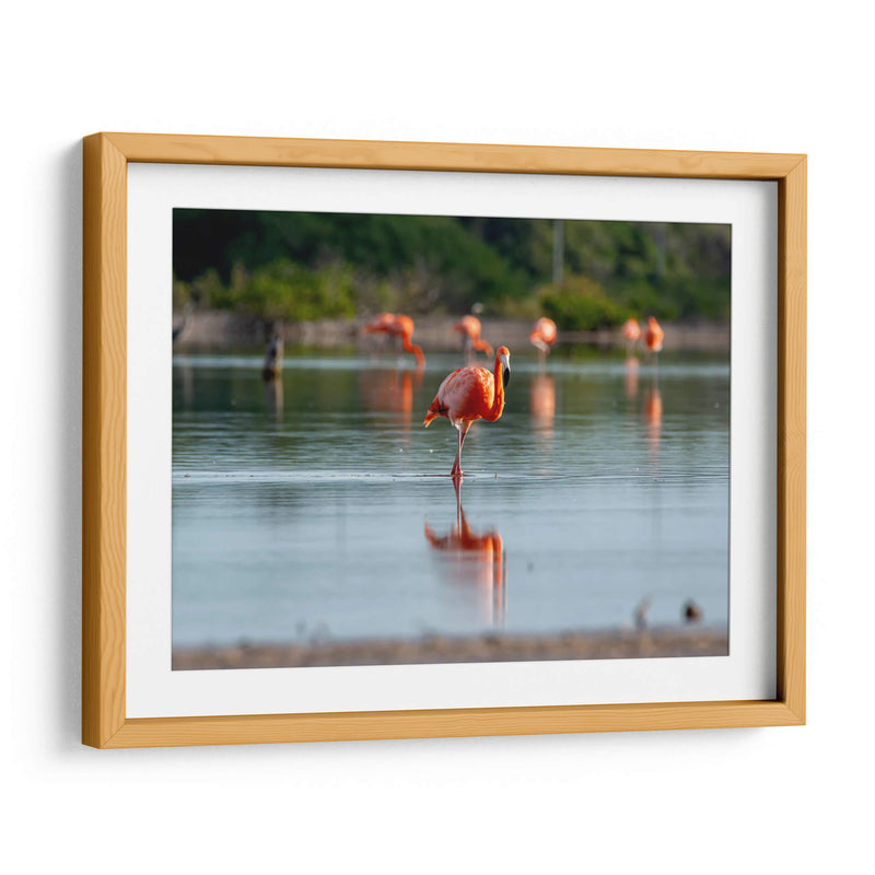 Flamenco - Claudia Luna | Cuadro decorativo de Canvas Lab