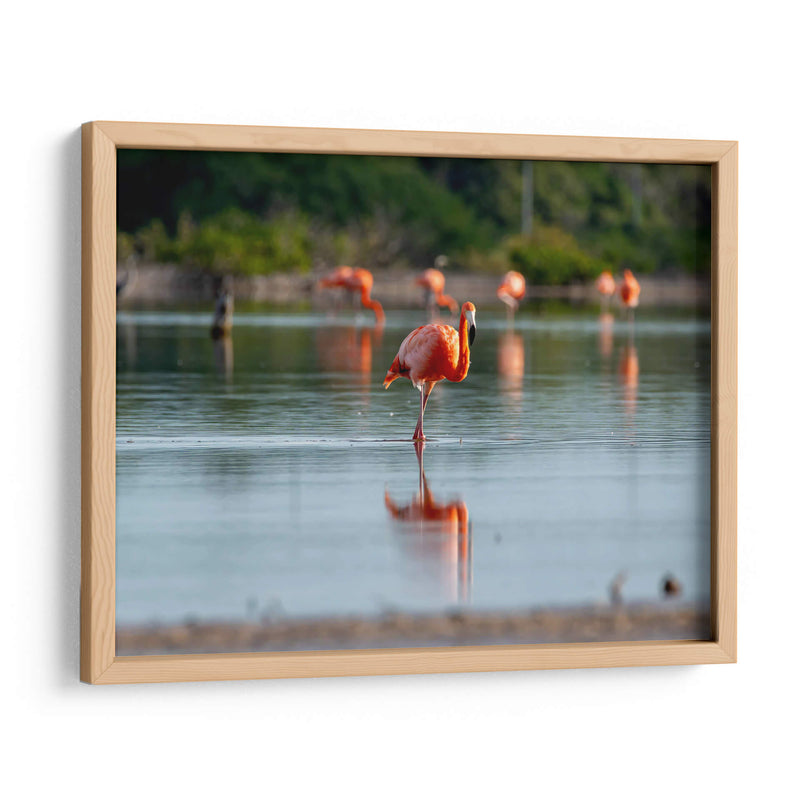 Flamenco - Claudia Luna | Cuadro decorativo de Canvas Lab