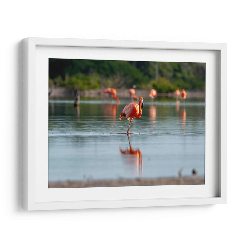 Flamenco - Claudia Luna | Cuadro decorativo de Canvas Lab