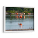 Flamenco - Claudia Luna | Cuadro decorativo de Canvas Lab