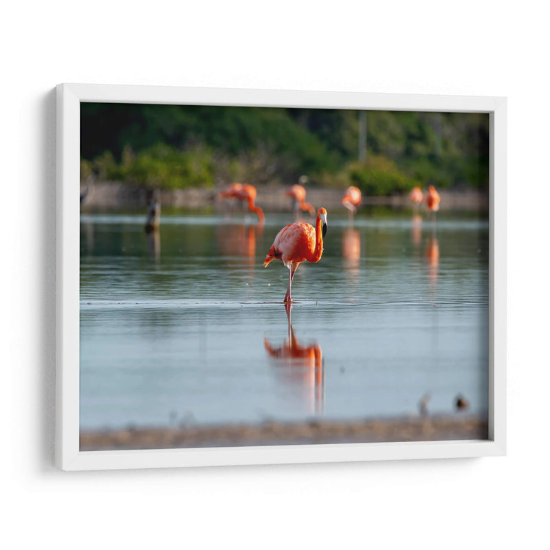 Flamenco - Claudia Luna | Cuadro decorativo de Canvas Lab