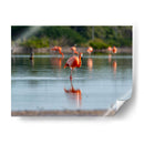 Flamenco - Claudia Luna | Cuadro decorativo de Canvas Lab