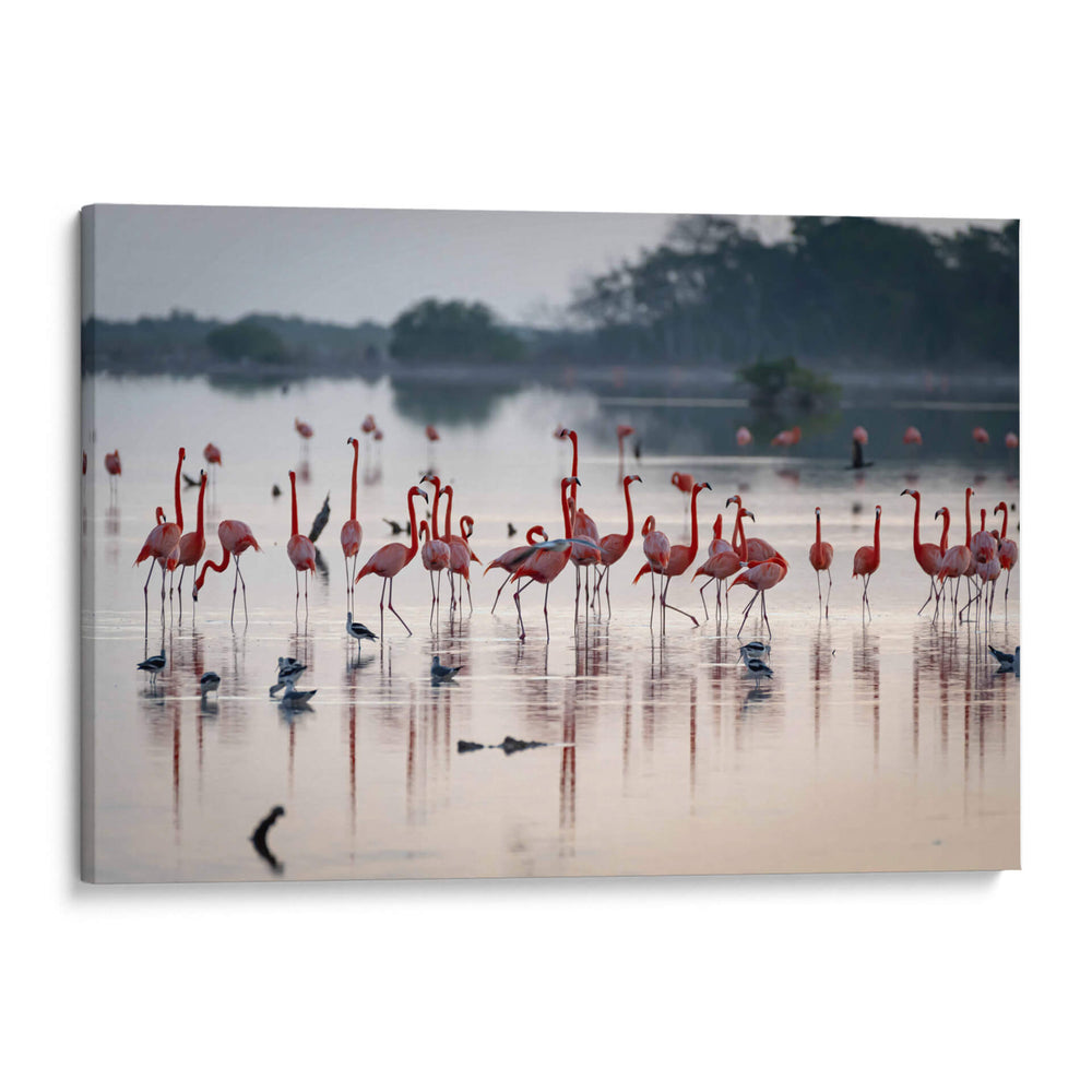La danza de los flamencos - Claudia Luna | Cuadro decorativo de Canvas Lab
